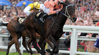 Horse Racing at Ascot Racecourse - Grandstand Admission