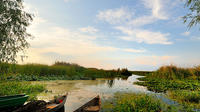 Danube Delta Private Tour from Bucharest