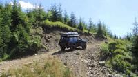 Private Off Road Tour to the Carpathian Mountains from Bucharest