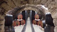 Private Wine Tasting Tour at Urlateanu Manor from Bucharest