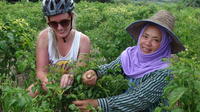 1 Day Bike and River Kayak Adventure from Chiang Mai