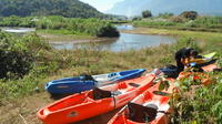 Full-Day Kayaking River Trip Northern Thailand Jungle from Chiang Mai