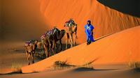 1 Night Camel Trek Bivouac From Merzouga