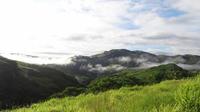 Fiji Trekking and Sightseeing Tour from Nadi 