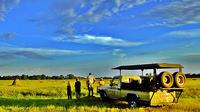 5-Day Botswana Mobile Camping Safari to Moremi and Savuti from Maun