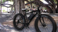 Électrique Fat Tire Bike