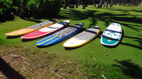 Stand Up Paddle Board Rental