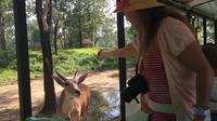 Private Full Day Beijing Wildlife Park Tour