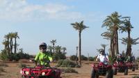 Excursion de 4 heures à la Palmeraie au départ de Marrakech Excursion de 4 heures à la Palmeraie au départ de Marrakech