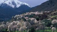 Privat dagstur: Atlasbjergene, Ourika-dalen, berberlandsby, vandfald, Takerkoust-søen fra Marrakech Privat dagstur: Atlasbjergene, Ourika-dalen, berberlandsby, vandfald, Takerkoust-søen fra Marrakech