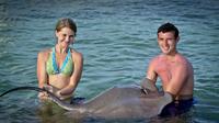 Punta Cana Shark and Stingray Encounter by Glass Bottom Boat