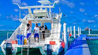 Sharks and Stingray Catamaran Excursion from Punta Cana