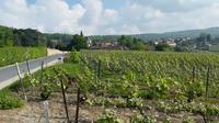 Excursão diurna para grupos pequenos a Epernay: a pitoresca Moet e Chandon e Hautvillers, com degustação de champanhe, saindo de Reims Excursão diurna para grupos pequenos a Epernay: a pitoresca Moet e Chandon e Hautvillers, com degustação de champanhe, saindo de Reims