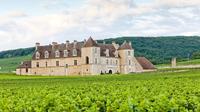 Excursão vinícola em Borgonha para grupos pequenos Côte de Nuits saindo de Beaune Excursão vinícola em Borgonha para grupos pequenos Côte de Nuits saindo de Beaune