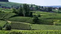 Small-Group Day Tour of Epernay: Picturesque Moet et Chandon and Hautvillers with Champagne Tasting from Reims 