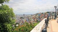 Guayaquil Half-Day City Tour Including The Malecon and Las Peñas Neighborhood