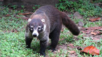 Metropolitan Natural Park Tour in Panama City