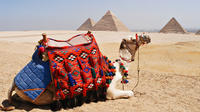 Private-Day tour to Giza Pyramids, Alabaster Mosque and Hanging Church From Cairo 