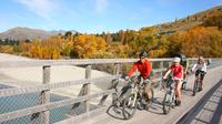 Full-Day Bike Tour of Queenstown Trails 