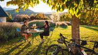 Full-Day Self-Guided Bike Tour of the Wineries