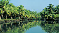 7-Day Tour: Spice Lands of Kerala from Kochi