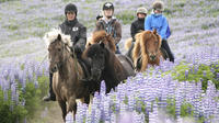 Full Day Horse Riding and Glacier River Rafting from Reykjavik