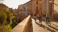 Recorrido en bicicleta eléctrica en grupo pequeño de Granada Recorrido en bicicleta eléctrica en grupo pequeño de Granada