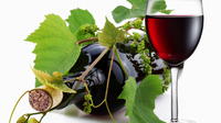 6 heures Napa Valley Wine Tasting Tour de San Francsico