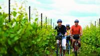 Niagara Winery Bicycle Tour with Cheese