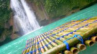 Kawasan and Mantayupan Falls Day Tour from Cebu