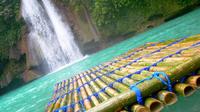 Mantayupan and Kawasan Falls Day Tour from Cebu