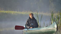 Beaver Safari Paddle Tour with Breakfast in Central Sweden