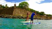San Juan Paddle Board Tour