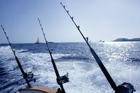 Private Punta Cana Half-Day Deep Sea Fishing Charter