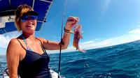 Private Punta Cana Inshore Fishing Charter