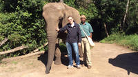 Close Encounter with African Elephants including 'Trunk in Hand' Walk in The Crags