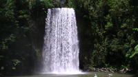 Atherton Tablelands Waterfalls Day Trip from Cairns