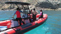 Scuba Diving Tour in Coronado Islands