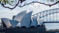 Sydney Landscapes and Travel Photography Guided Walking Tour