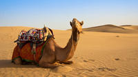 Desert Safari: Wahiba Sands and Wadi Bani Khalid from Muscat