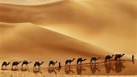 Oman Classic 6-Day Tour From Muscat 