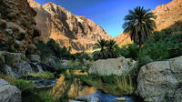 Wadi Bani Awf Private Tour