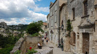 Private Shore Excursion from Marseille to Arles Les Baux de Provence and Van Gogh