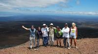 4-Day Galapagos Land Tour Visiting Isabela and Santa Cruz