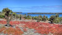 Viagem diurna para North Seymour, Galápagos - Inclui embarque no hotel Viagem diurna para North Seymour, Galápagos - Inclui embarque no hotel