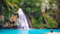Kawasan Falls with Osmena Peak