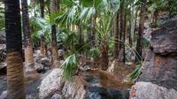 14 jours de Broome à Darwin Visite y compris le parc national de Litchfield, Nitmiluk National Park et les Bungle Bungle
