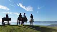 Horse Trekking from Rotorua 