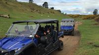 Off-Road 4WD Buggy Adventure from Rotorua  