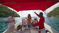 Private Speedboat Cruise and Snorkel Tour in St Lucia